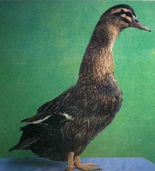莆田购物介绍,图九