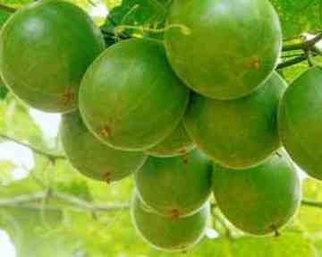 到桂林旅游时购物注意