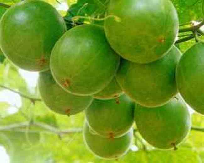 到桂林旅游时购物注意