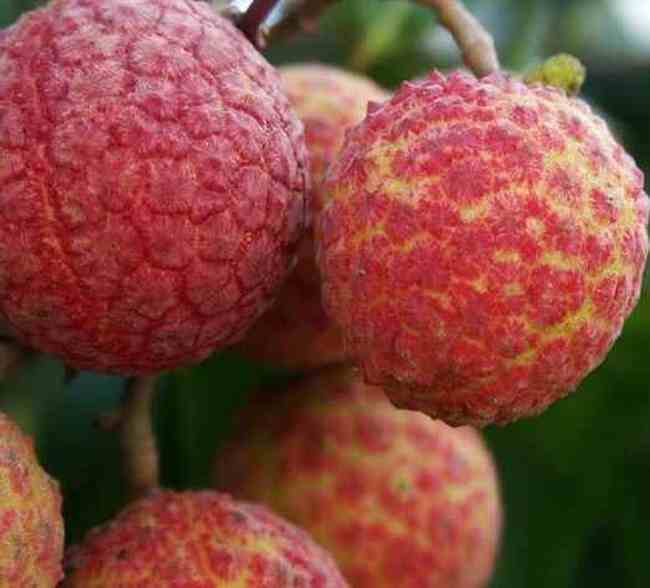 莆田购物介绍,图三