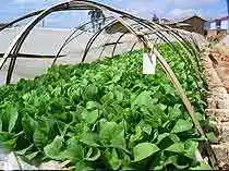 西双版纳购物介绍