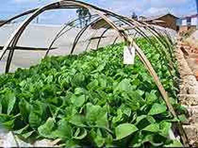 西双版纳购物介绍