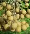 莆田购物介绍