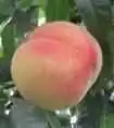 无锡商场购物