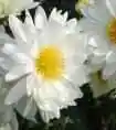 嘉兴购物介绍