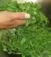 杭州特产攻略