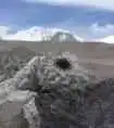 甘孜特产推介