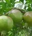 淮北购物介绍