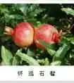 蚌埠市特产