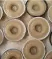 娄底购物介绍