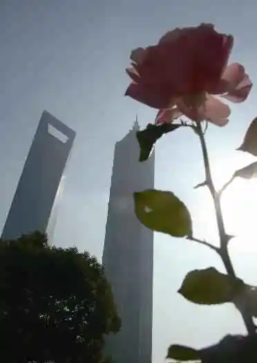 从一杯咖啡开始阅读陆家嘴柔情万种