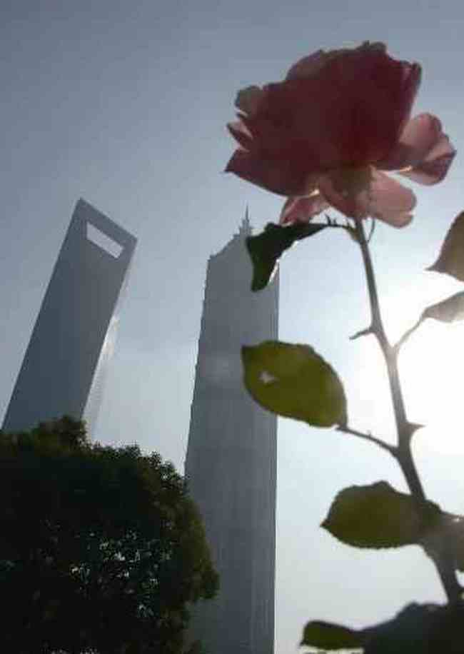 从一杯咖啡开始阅读陆家嘴柔情万种,图五