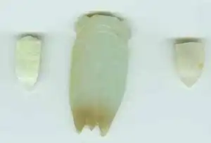 新疆和田购物指南