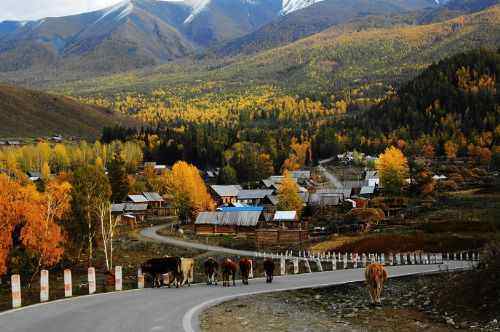 白哈巴西边的太阳落山岗,图一