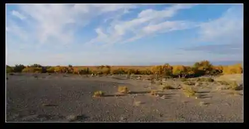 新疆之旅--喀纳斯