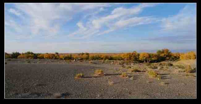 新疆之旅--喀纳斯,图一