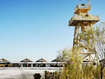 深秋看胡杨慢游库尔勒火车两日三天之莲花湖