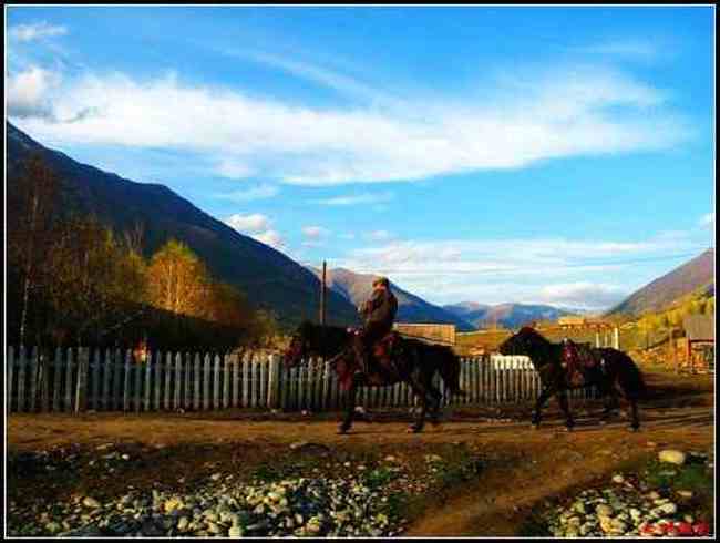 图瓦族人居住地像啥——禾木村（上）,图五
