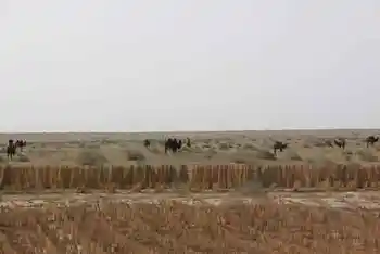 新疆南疆六日游续(五）,图三