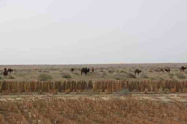 新疆南疆六日游续(五),图三