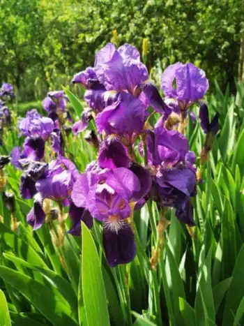 感天地始交 看万物并秀 美丽乌鲁木齐市一瞥