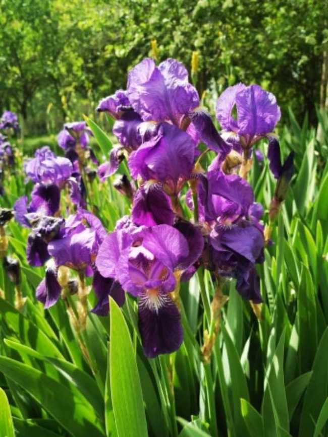 感天地始交 看万物并秀 美丽乌鲁木齐市一瞥