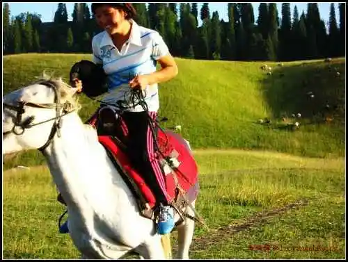 我拍的草原和少女那拉提