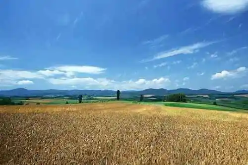 与世隔绝的喀纳斯