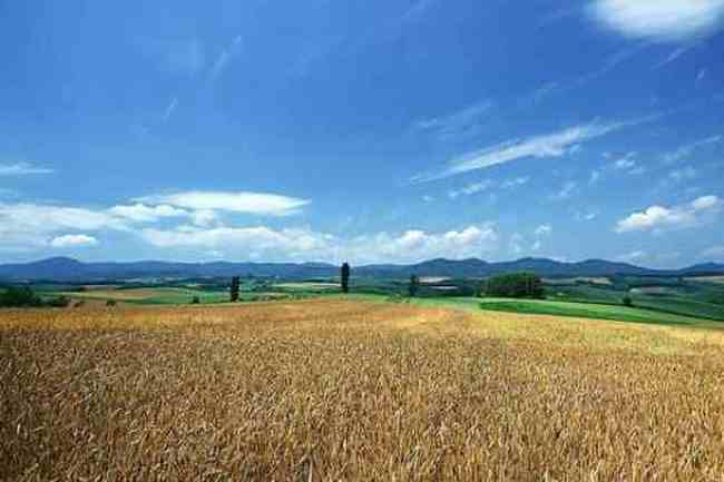 与世隔绝的喀纳斯,图六