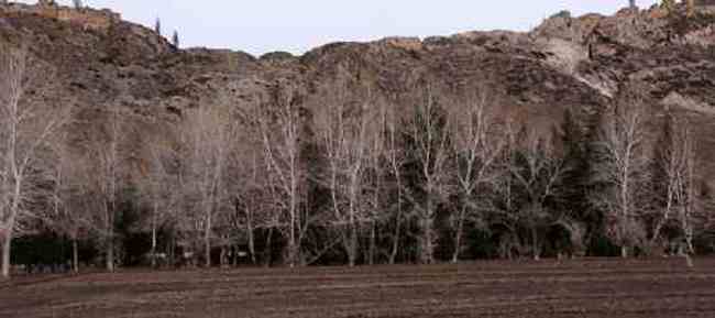 新疆自驾之旅四,图十一