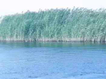 新疆南疆六日游续,图八