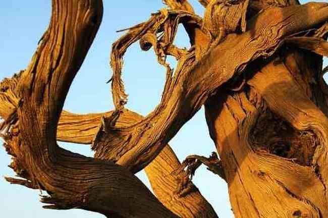 我們站在火焰山前,圖十九