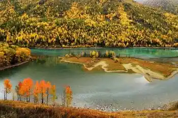 带你进入多彩的喀纳斯,图六