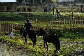 白哈巴西边的太阳落山岗,图十一
