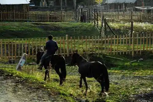 白哈巴西边的太阳落山岗