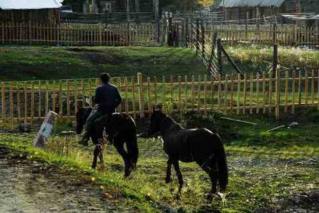 白哈巴西边的太阳落山岗,图十一