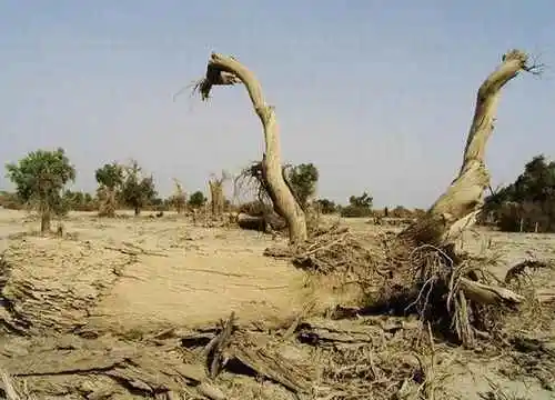 最高沙漠里的生命禁区