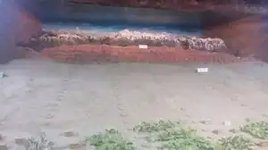 火州吐鲁番之行