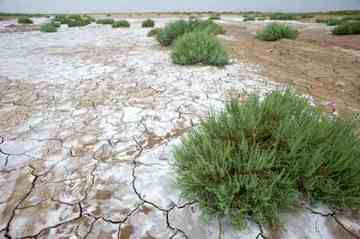消失的中国最低地-艾丁湖,图四