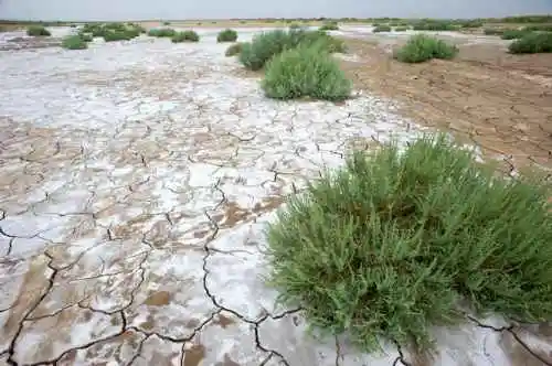 消失的中国最低地－艾丁湖
