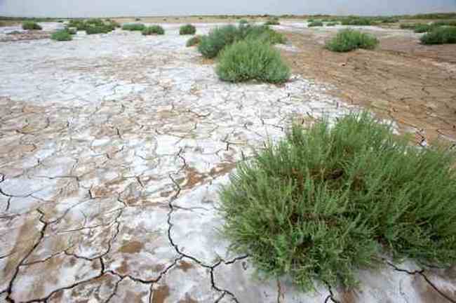 消失的中国最低地-艾丁湖,图四