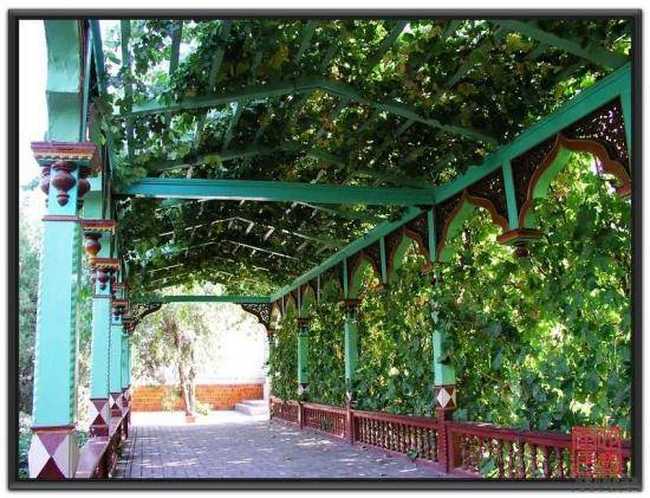 喀什情怀,寻找心灵深处,图十七