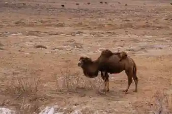 新疆自驾之旅三,图十三