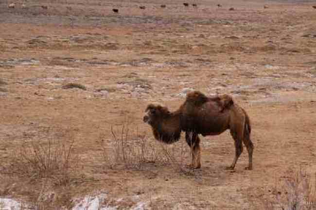 新疆自驾之旅三,图十三