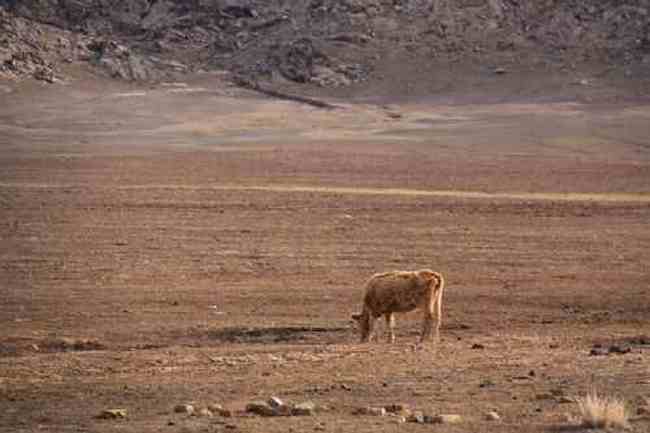 新疆自驾之旅四,图
