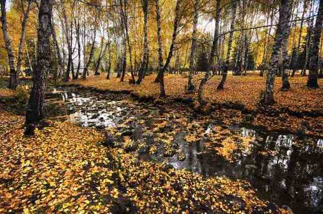 北疆仙境云雾禾木,图十一
