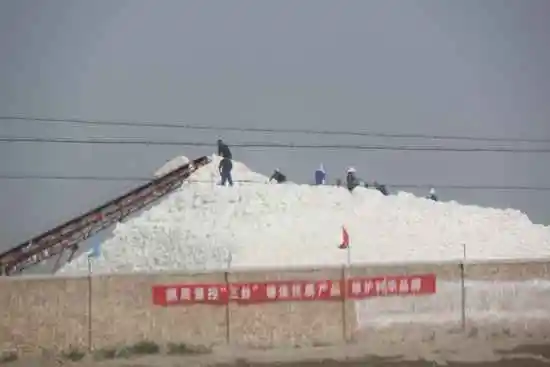 新疆南疆六日游之三