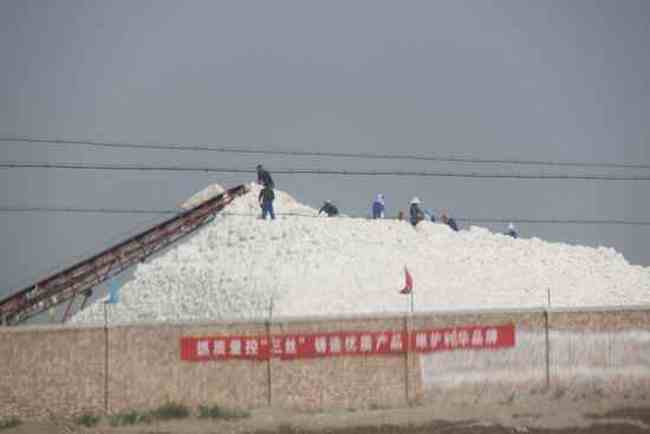 新疆南疆六日游之三,图一