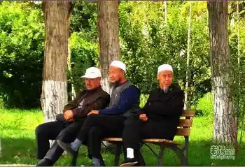 新疆旅游去沙漠看胡杨,图十三