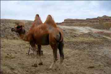 新疆的魔鬼城,图十二